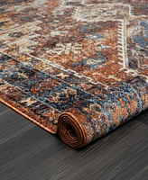 Lr Home Lavish LANHM82274 5' x 7' Area Rug