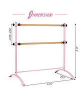 Hongge 4 Foot Portable Freestanding Double Ballet Barre