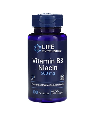 Life Extension Vitamin B3 Niacin 500 mg