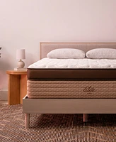 Brooklyn Bedding Helix Twilight Elite 16" Firm Mattress