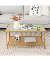 Givimo 2-Tier Coffee Table with Shelf Center Tea Table with Tempered Glass Top