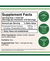 Double Wood Supplements Phosphatidylcholine Complex