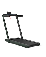 Hongge 2-in-1 Electric Motorized Health and Fitness Folding Treadmill with Dual Display and Speaker-Green