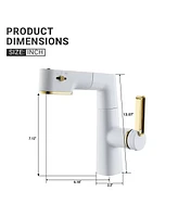 Mondawe Single Handle Single Hole Bathroom Faucet with Pull out Spray