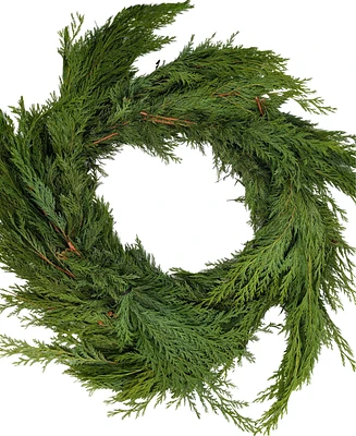 International Christmas Innovation Fresh Premier Cedar Garland, 25'