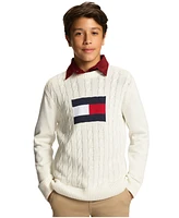 Tommy Hilfiger Toddler and Little Boys Flag Crew Sweater