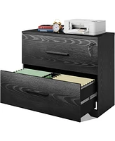 Devaise 2-Drawer Wood Lateral File Cabinet with Lock for Home Office