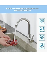 Flynama Single Handle Surface-Mounted Kitchen Faucet