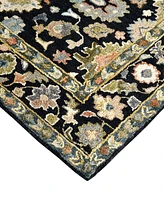 Amer Rugs Jackson JAC2 4'x6' Area Rug