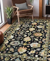 Amer Rugs Jackson JAC2 4'x6' Area Rug