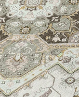 Addison Chantille Machine Washable ACN1036 8'x10' Area Rug