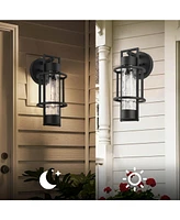 Flynama 1-Light Dusk to Dawn Outdoor Hardwired Wall Lantern Sconce with No Bulbs Included