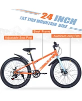 24 Inch Bicycles, Fat Tire Mountain Bike for Boys and Girls Age 10 + Years, Dual-Disc Brake,Shimano 7-Speed, Kids Beach and Snow Bicycle