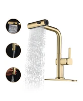 Mondawe 360° Swivel Single Handle Pull Out Sprayer Kitchen Faucet