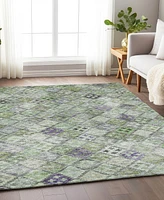 Addison Chantille Machine Washable ACN1081 9'x12' Area Rug
