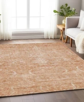 Addison Chantille Machine Washable ACN1083 8'x10' Area Rug