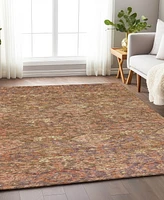 Addison Chantille Machine Washable ACN1084 3'x5' Area Rug