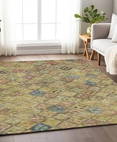 Addison Chantille Machine Washable ACN1081 10'x14' Area Rug