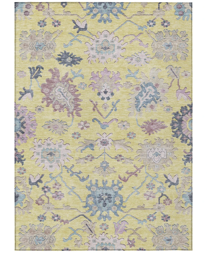 Addison Chantille Machine Washable ACN1154 10'x14' Area Rug
