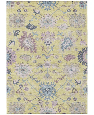 Addison Chantille Machine Washable ACN1154 10'x14' Area Rug