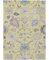 Addison Chantille Machine Washable ACN1154 10'x14' Area Rug