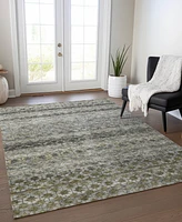 Addison Chantille Machine Washable ACN1168 10'x14' Area Rug