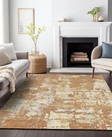 Addison Chantille Machine Washable ACN1008 10'x14' Area Rug