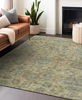 Addison Chantille Machine Washable ACN1105 10'x14' Area Rug