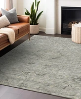 Addison Chantille Machine Washable ACN1111 8'x10' Area Rug