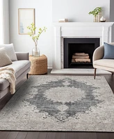 Addison Chantille Machine Washable ACN1003 8'x10' Area Rug