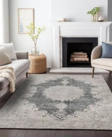 Addison Chantille Acn1003 Rug Collection