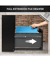 Devaise 2-Drawer Mobile File Cabinet with Lock