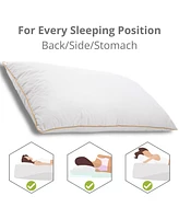 Woodek European UltraClean Down And Feather Lightweight Pillow, 100% Cotton - Luxurious Comfort