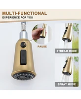 Casainc 1.8 Gpm Pull Down Kitchen Faucet with Deck Plate