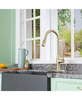Casainc 1.8 Gpm Single-Handle Pull-Down Kitchen Faucet Single Hole with Deck Plate