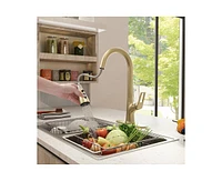 Casainc Single-Handle Pull-Down Sprayer Kitchen Faucet with Digital Display
