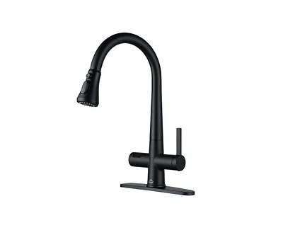 Casainc 1.8 Gpm Pull Down Kitchen Faucet with Deck Plate and Digital Display