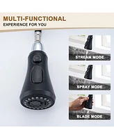 Casainc 1.8 Gpm Pull Down Kitchen Faucet with Deck Plate and Digital Display