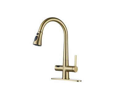 Casainc 1.8 Gpm Pull Down Kitchen Faucet with Deck Plate and Digital Display