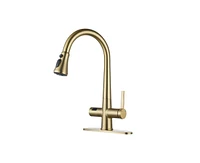 Casainc 1.8 Gpm Pull Down Kitchen Faucet with Deck Plate and Digital Display