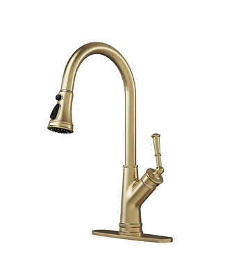 Casainc 1.8 Gpm Single-Handle Pull-Down Kitchen Faucet Single Hole