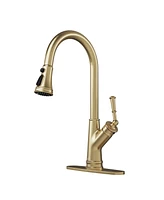 Casainc 1.8 Gpm Single-Handle Pull-Down Kitchen Faucet Single Hole