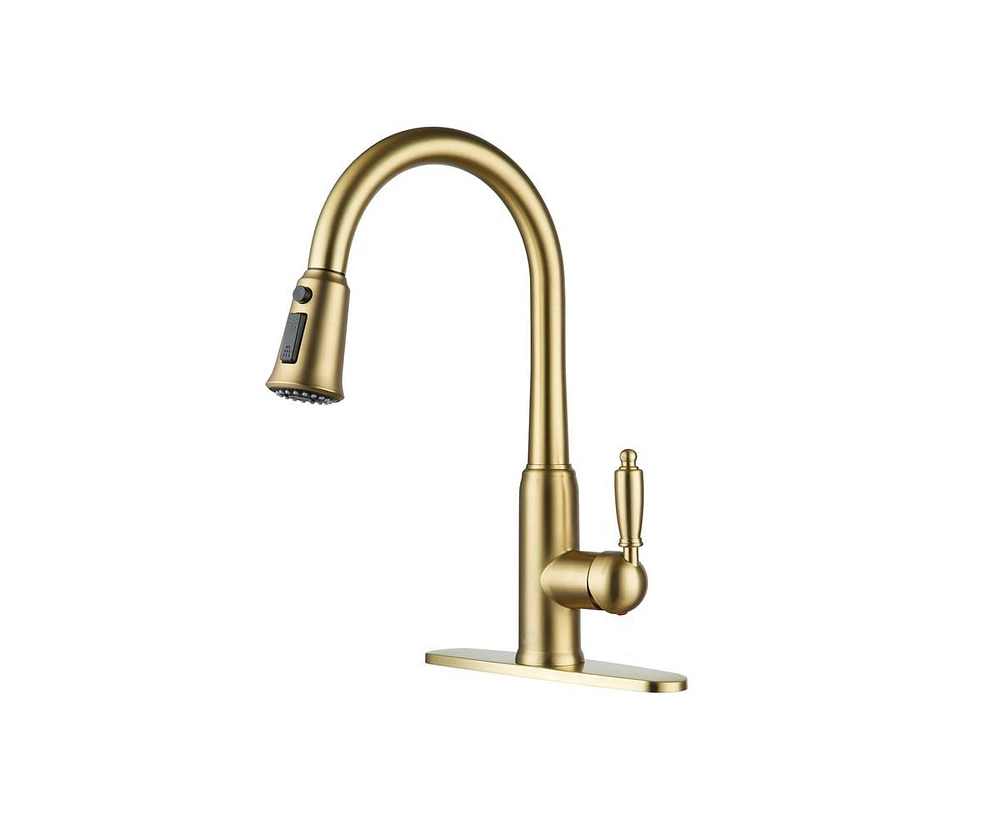 Casainc Single-Handle Pull-Down Kitchen Faucet Single Hole