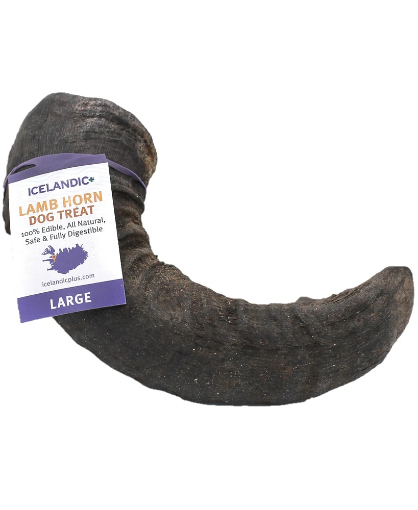 Icelandic+ Lamb Horn Dog Chew - Large