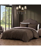 Bebejan 3 Piece King Size Velvet Comforter Set