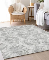 Addison Chantille Machine Washable ACN767 10'x14' Area Rug