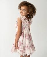 Rare Editions Little Girls Embroidered Chiffon with Lace Trim Dress