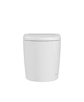 DeerValley Smart Toilet Elongated Modren Bidet Toilet with Auto/Blackout Flush, Heated Seat, Warm Wash, Dryer