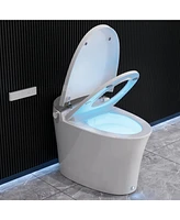 DeerValley Smart Bidet Toilet Elongated, Auto Open/Close Lid, Seat Heat, Foot Kick & Blackout Flush, Premium