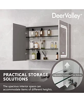 DeerValley Rectangular 31" W Double Doors Alumium Lighted Bathroom Mirros